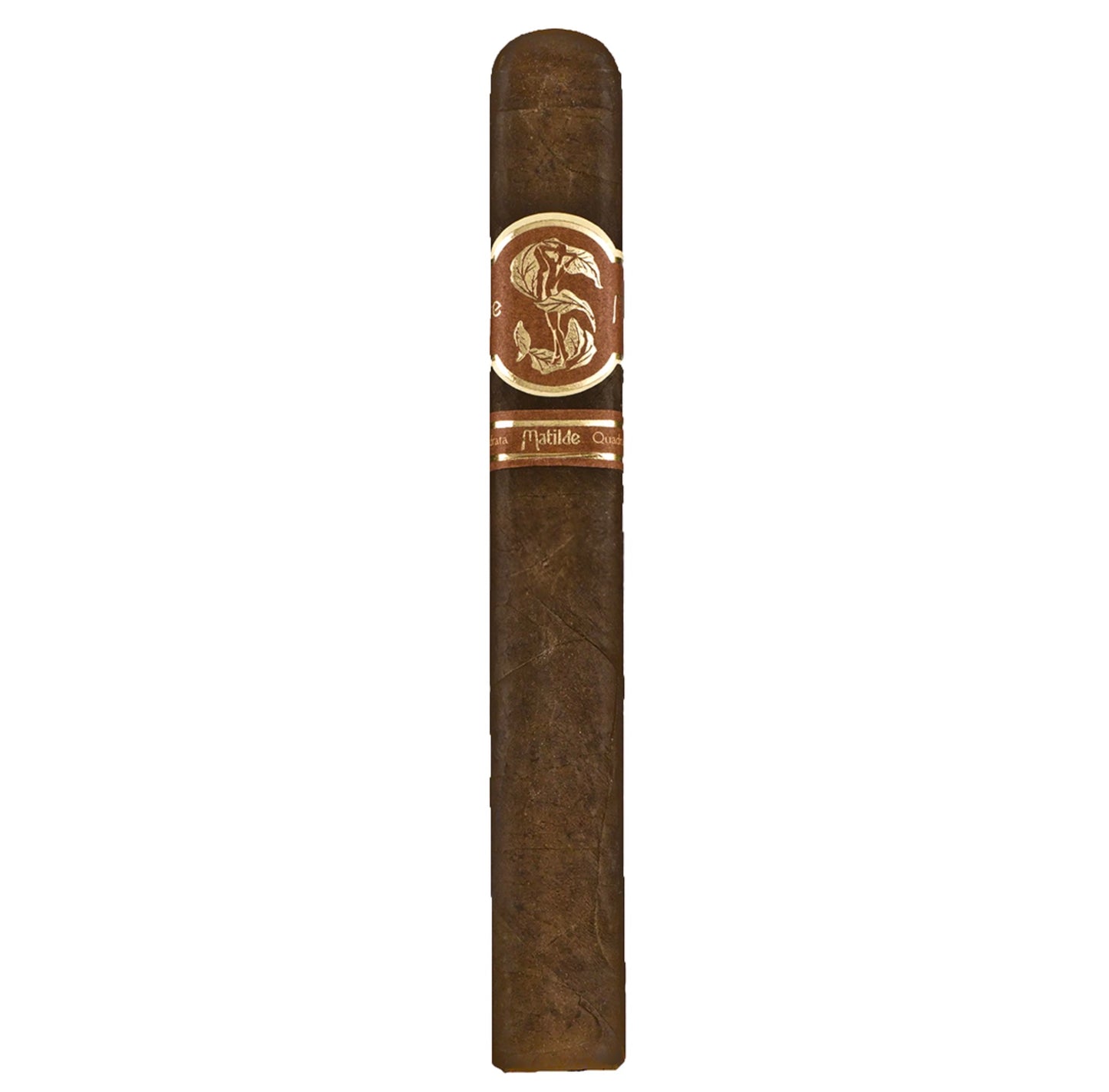 MATILDE QUADRATA ROBUSTO