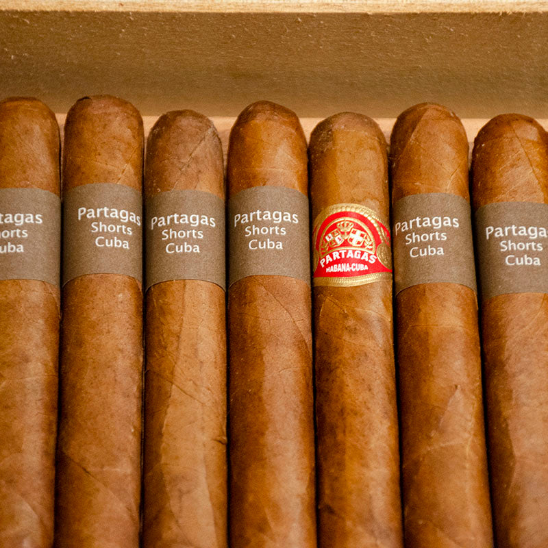 PARTAGAS SHORTS