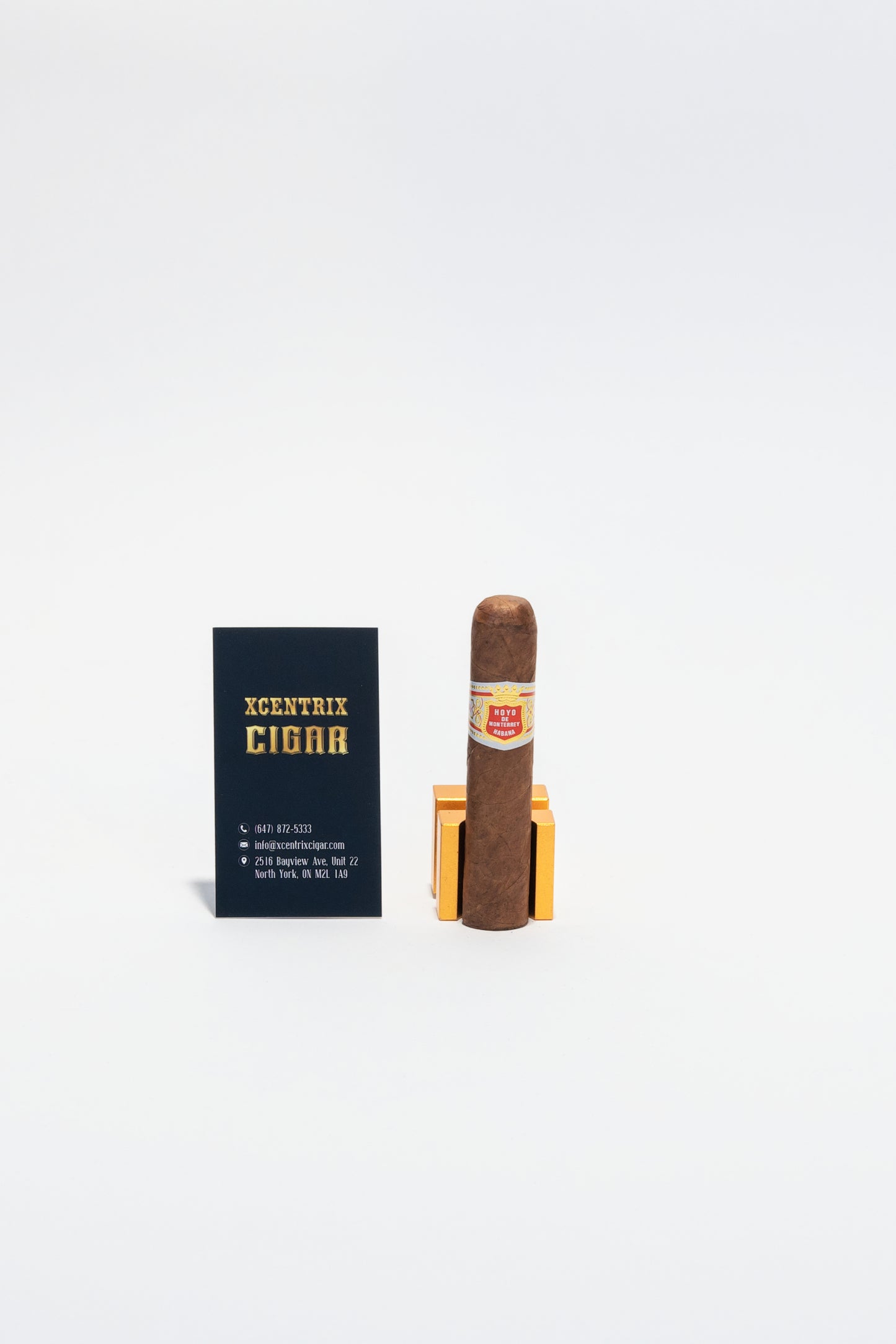 HOYO DE MONTERREY PETIT ROBUSTO