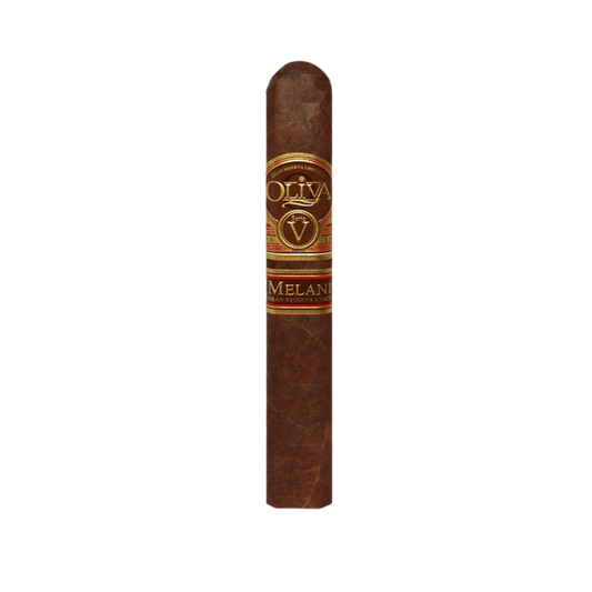 OLIVA SERIE V MELANIO 6X60