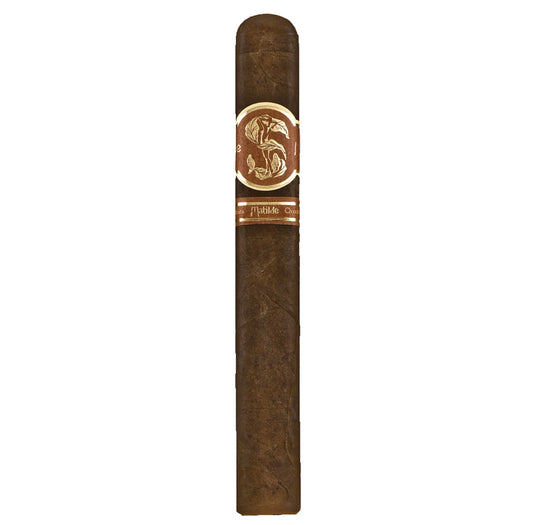 MATILDE QUADRATA ROBUSTO