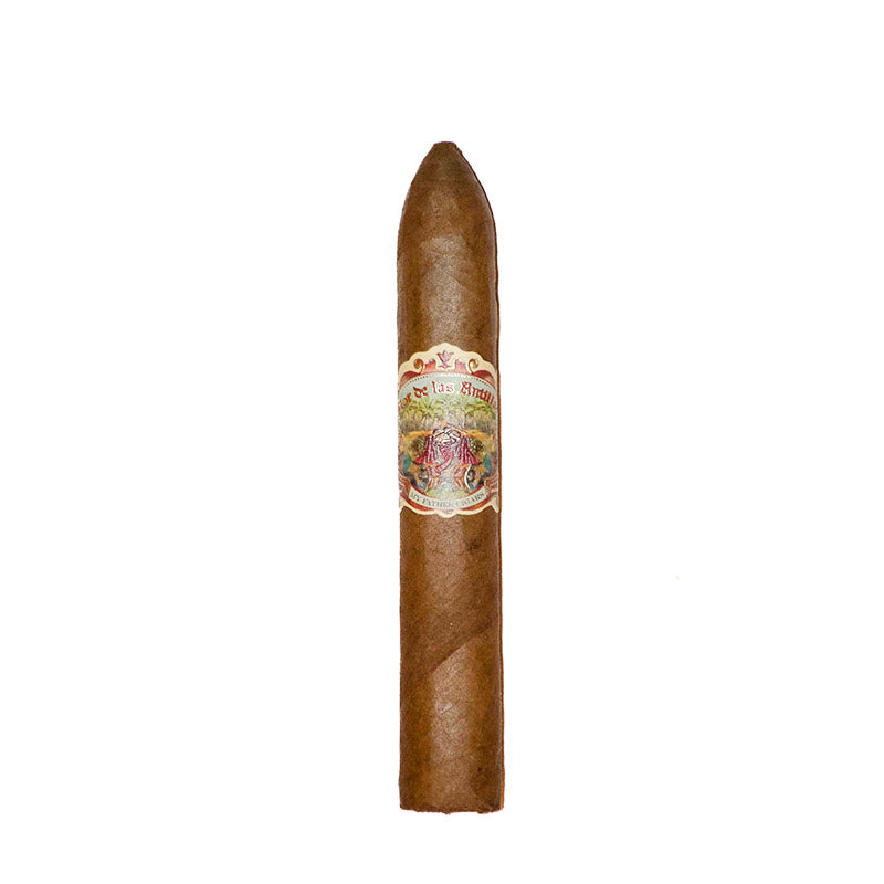 FLOR DE LAS ANTILLAS BELICOSO