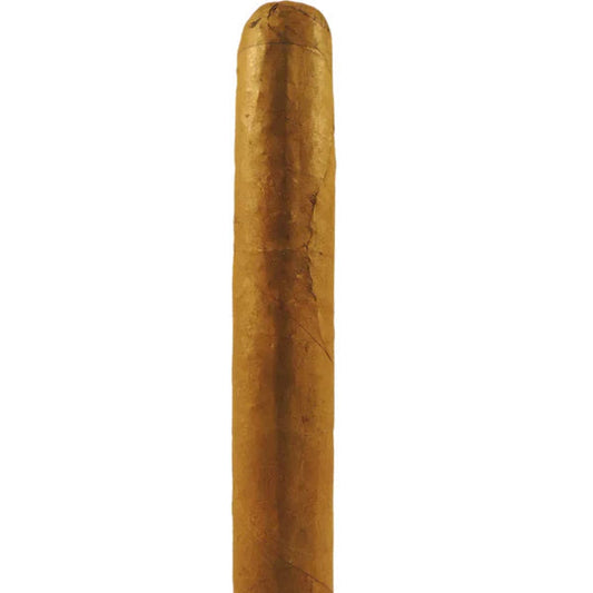 JUNCTION HABANO CHICO