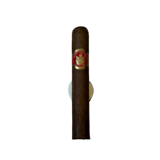 SAINT LUIS REY REGIOS